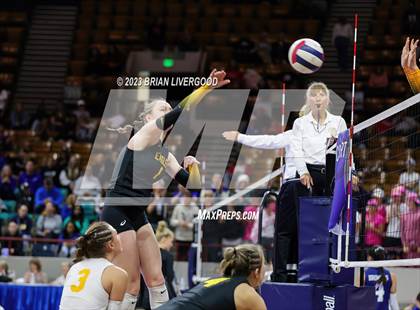 Thumbnail 1 in Thompson Valley vs. Lewis-Palmer (CHSAA 4A Semifinal) photogallery.