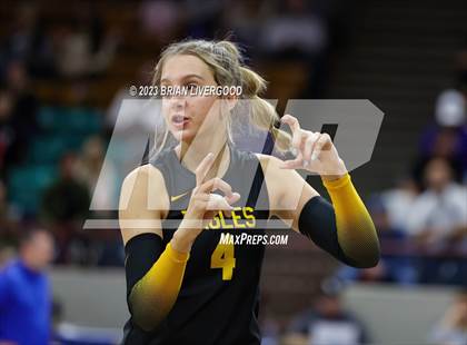 Thumbnail 3 in Thompson Valley vs. Lewis-Palmer (CHSAA 4A Semifinal) photogallery.