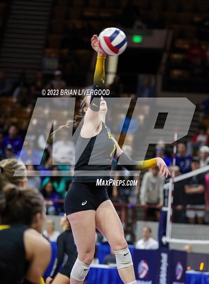 Thumbnail 2 in Thompson Valley vs. Lewis-Palmer (CHSAA 4A Semifinal) photogallery.