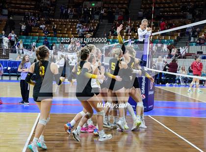 Thumbnail 3 in Thompson Valley vs. Lewis-Palmer (CHSAA 4A Semifinal) photogallery.