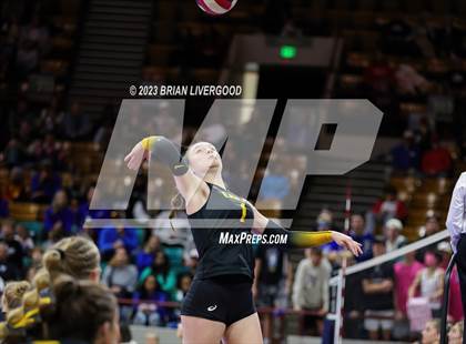 Thumbnail 1 in Thompson Valley vs. Lewis-Palmer (CHSAA 4A Semifinal) photogallery.