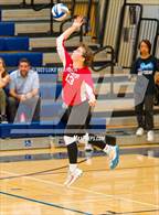 Photo from the gallery "McClatchy @ River City"