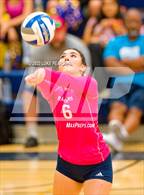 Photo from the gallery "McClatchy @ River City"