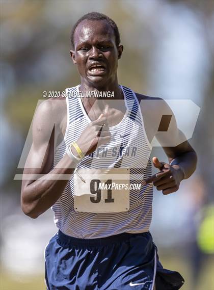 Thumbnail 1 in Lincoln Cross Country Meet photogallery.