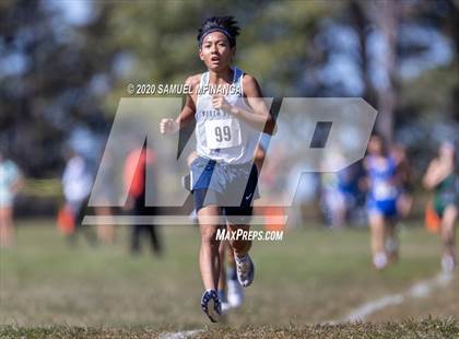Thumbnail 3 in Lincoln Cross Country Meet photogallery.
