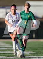 Photo from the gallery "Carpinteria @ La Reina"