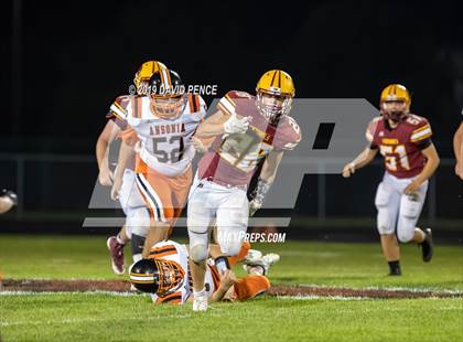 Thumbnail 3 in Ansonia @ New Bremen photogallery.