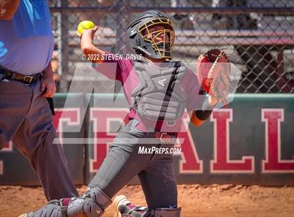 Thumbnail 3 in Hamilton vs. Liolani photogallery.