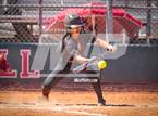 Photo from the gallery "Hamilton vs. Liolani"