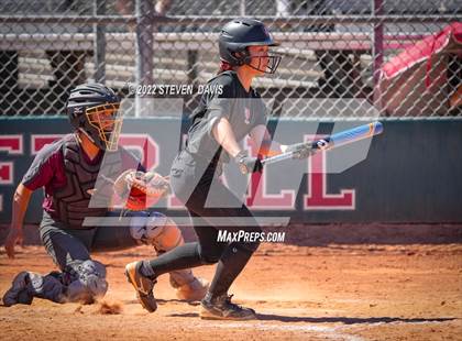 Thumbnail 2 in Hamilton vs. Liolani photogallery.