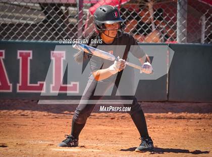 Thumbnail 3 in Hamilton vs. Liolani photogallery.