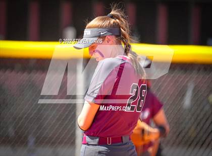 Thumbnail 3 in Hamilton vs. Liolani photogallery.