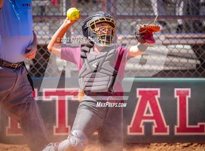 Thumbnail 2 in Hamilton vs. Liolani photogallery.
