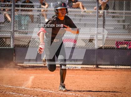 Thumbnail 3 in Hamilton vs. Liolani photogallery.