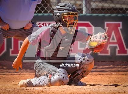 Thumbnail 3 in Hamilton vs. Liolani photogallery.