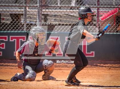 Thumbnail 3 in Hamilton vs. Liolani photogallery.
