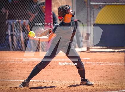 Thumbnail 2 in Hamilton vs. Liolani photogallery.