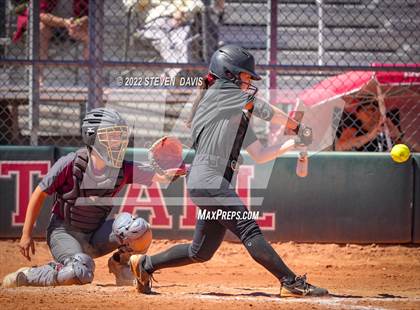 Thumbnail 3 in Hamilton vs. Liolani photogallery.
