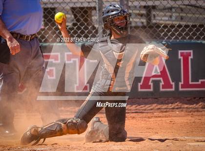 Thumbnail 3 in Hamilton vs. Liolani photogallery.