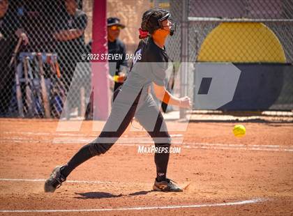 Thumbnail 3 in Hamilton vs. Liolani photogallery.