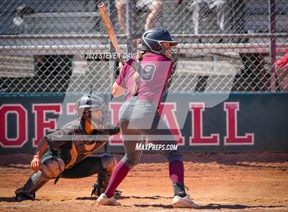 Thumbnail 3 in Hamilton vs. Liolani photogallery.
