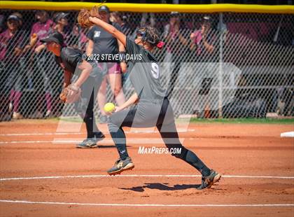 Thumbnail 1 in Hamilton vs. Liolani photogallery.