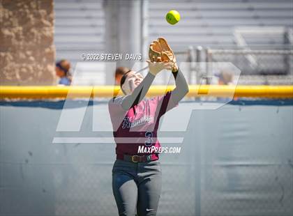 Thumbnail 1 in Hamilton vs. Liolani photogallery.