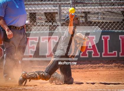 Thumbnail 1 in Hamilton vs. Liolani photogallery.