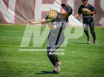 Thumbnail 1 in Hamilton vs. Liolani photogallery.