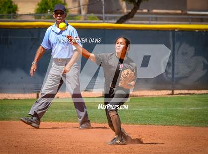 Thumbnail 2 in Hamilton vs. Liolani photogallery.