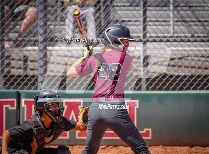 Thumbnail 3 in Hamilton vs. Liolani photogallery.