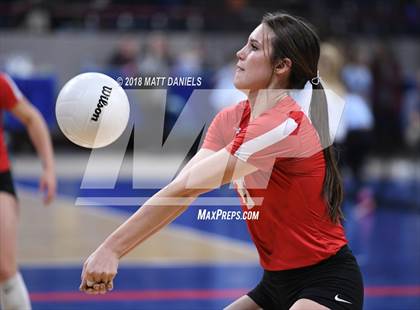 Thumbnail 2 in Yuma vs. Wiggins (CHSAA 2A Playoff) photogallery.