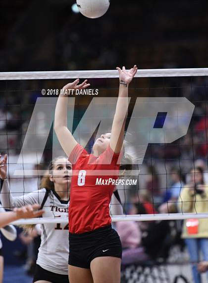 Thumbnail 3 in Yuma vs. Wiggins (CHSAA 2A Playoff) photogallery.