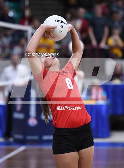 Thumbnail 2 in Yuma vs. Wiggins (CHSAA 2A Playoff) photogallery.
