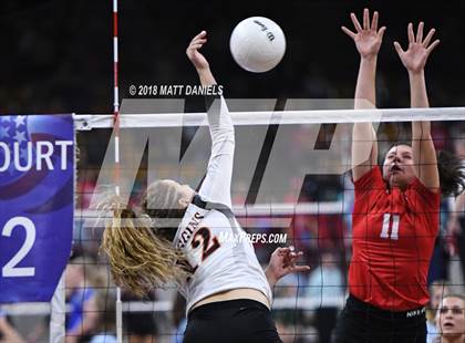 Thumbnail 2 in Yuma vs. Wiggins (CHSAA 2A Playoff) photogallery.
