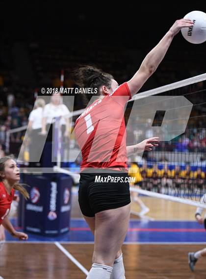 Thumbnail 2 in Yuma vs. Wiggins (CHSAA 2A Playoff) photogallery.