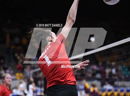 Thumbnail 3 in Yuma vs. Wiggins (CHSAA 2A Playoff) photogallery.