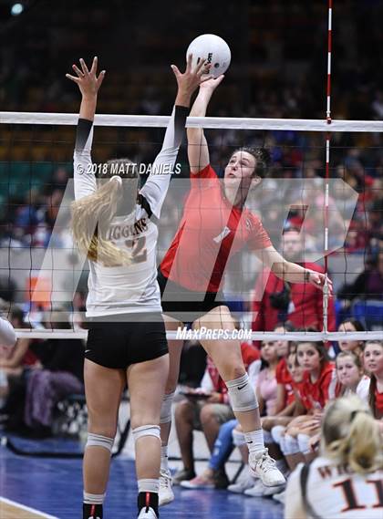 Thumbnail 1 in Yuma vs. Wiggins (CHSAA 2A Playoff) photogallery.
