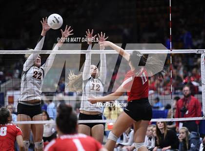 Thumbnail 2 in Yuma vs. Wiggins (CHSAA 2A Playoff) photogallery.
