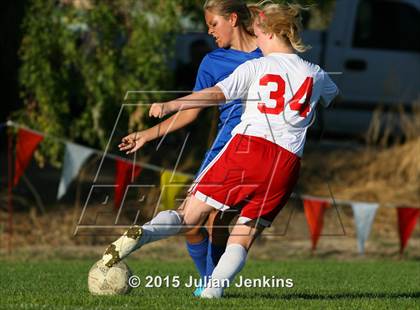 Thumbnail 1 in Emmett @ Weiser photogallery.