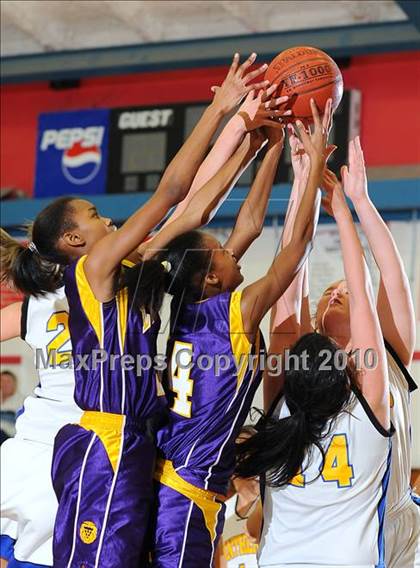 Thumbnail 1 in Maxwell vs. Live Oak photogallery.