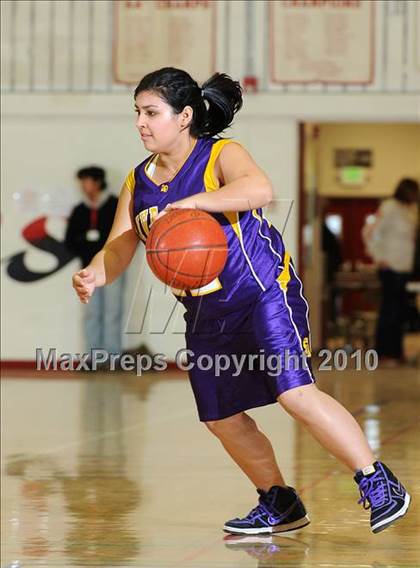 Thumbnail 1 in Maxwell vs. Live Oak photogallery.