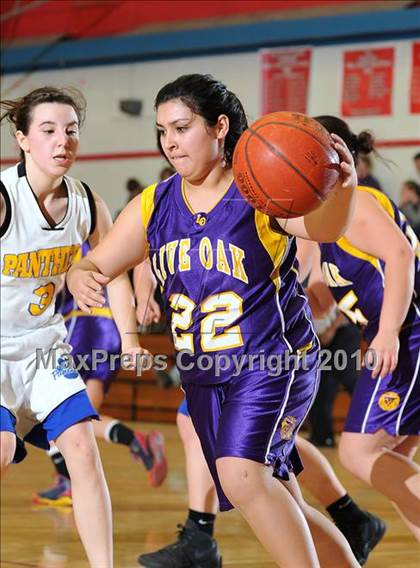Thumbnail 3 in Maxwell vs. Live Oak photogallery.