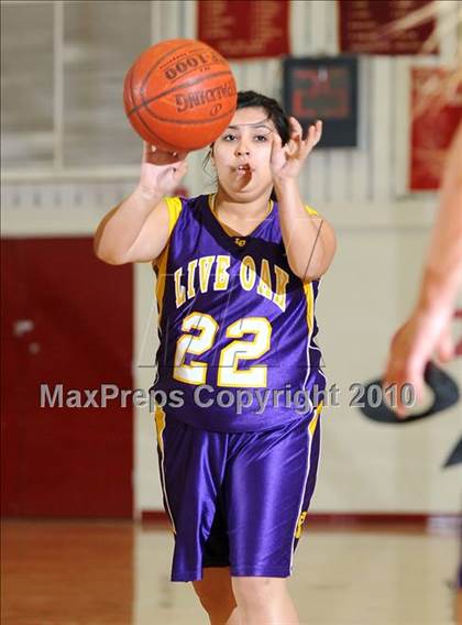 Thumbnail 2 in Maxwell vs. Live Oak photogallery.