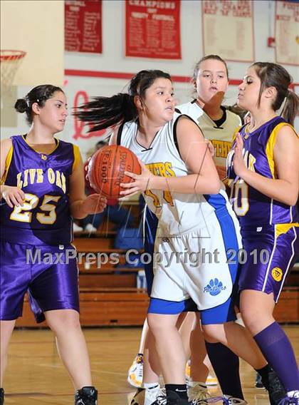 Thumbnail 1 in Maxwell vs. Live Oak photogallery.