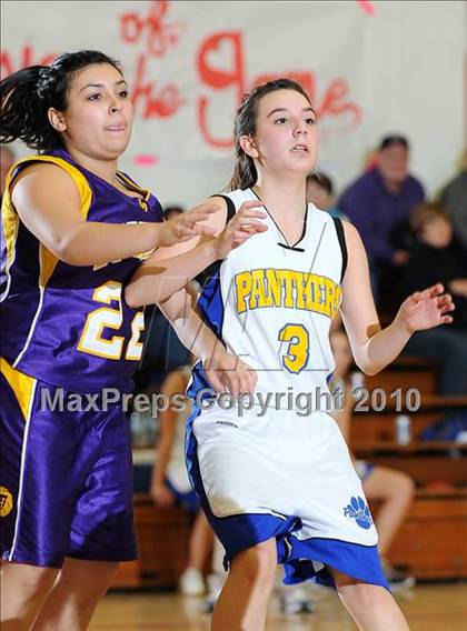 Thumbnail 2 in Maxwell vs. Live Oak photogallery.