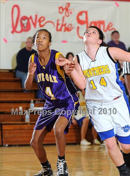 Thumbnail 2 in Maxwell vs. Live Oak photogallery.
