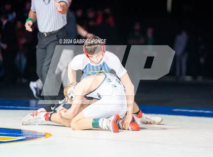Thumbnail 1 in CIF State Championships (Finals) photogallery.