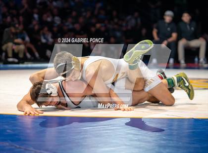Thumbnail 1 in CIF State Championships (Finals) photogallery.