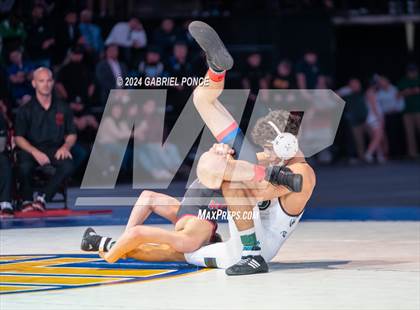 Thumbnail 1 in CIF State Championships (Finals) photogallery.